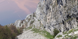 PUESTA BUZÓN - Comida